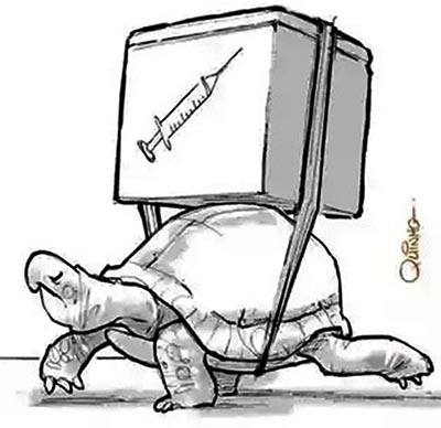 Operação tartaruga