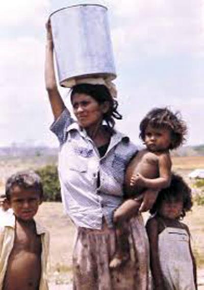 Palmas que a fome voltou