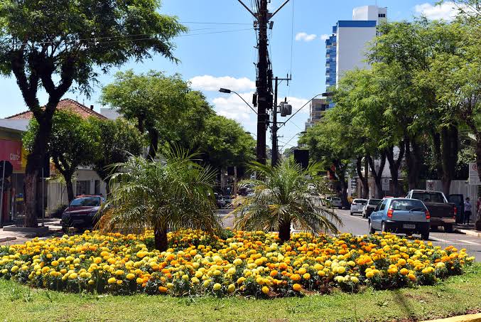 Cidade ficando linda
