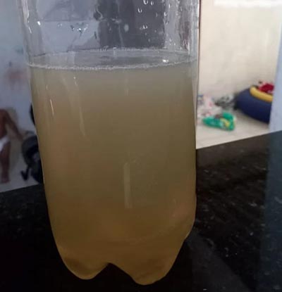 A terra do tudo pode