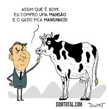Vida de gado