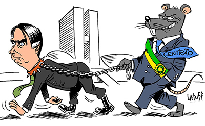 Bandido de estimação