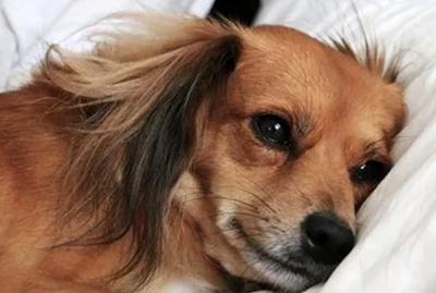 Perguntar não é acusar