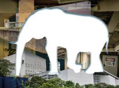 Elefante branco