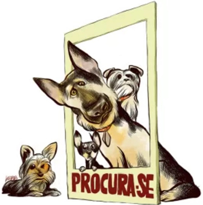 Perguntar não é acusar