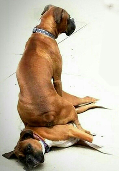 Por debaixo dos panos