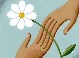 Parabéns aos Águas Lindenses