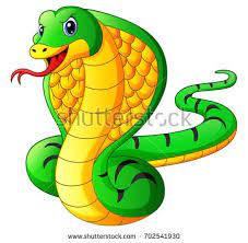 O Vereador Chiquinho soltou a cobra